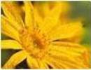 Nature_thumb__