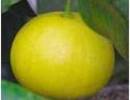 Nature_thumb__